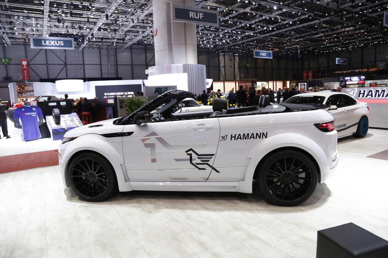 Hamann : il en faut pour tous les goûts