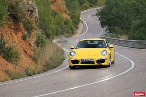 Porsche 911 Coupe Fleur des chants