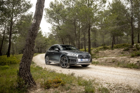 Audi Q5 2017 sur un chemin
