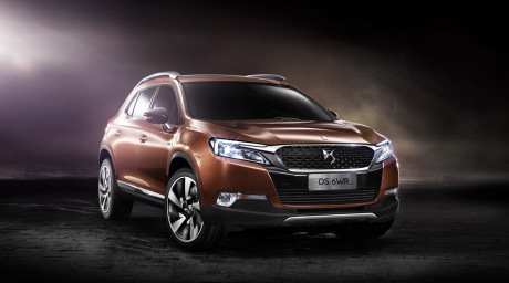 DS 6WR Chine vue avant marron