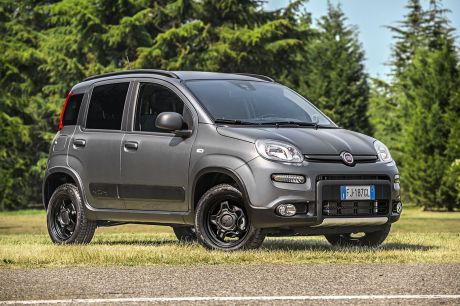 Fiat Panda 4x4 grise