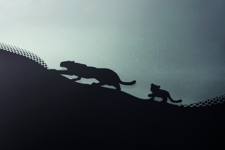 La famille SUV de Jaguar s'agrandit avec comme nouveau bébé, le E-Pace