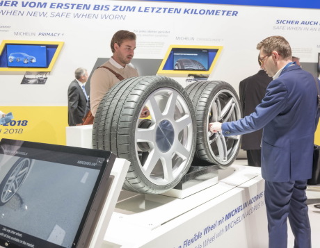 Michelin Acorus