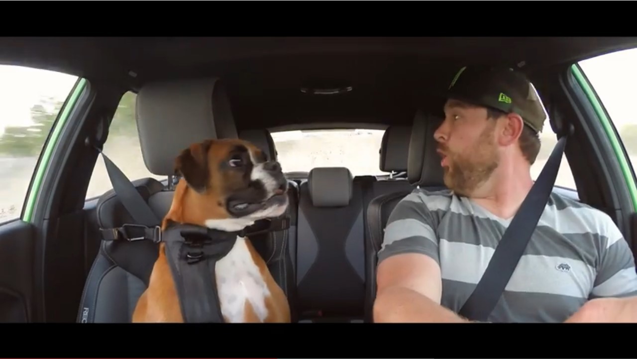 Vidéo : Vaughn Gittin Jr. emmène drifter son chien