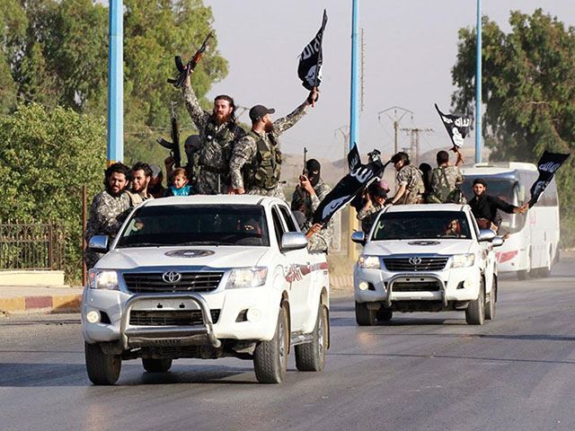 Les États-Unis s'intéressent aux Toyota de Daesh