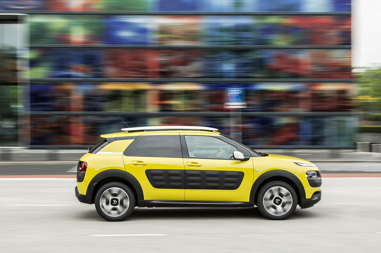 Dimensions et fiche technique C4 Cactus