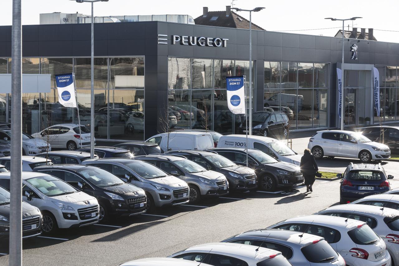 Photo 5 Paul Kroely et Franck Viallet se partagent le groupe Kroely