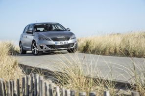 Peugeot 308 Féline grise encadré par de la végétation vue avant droite
