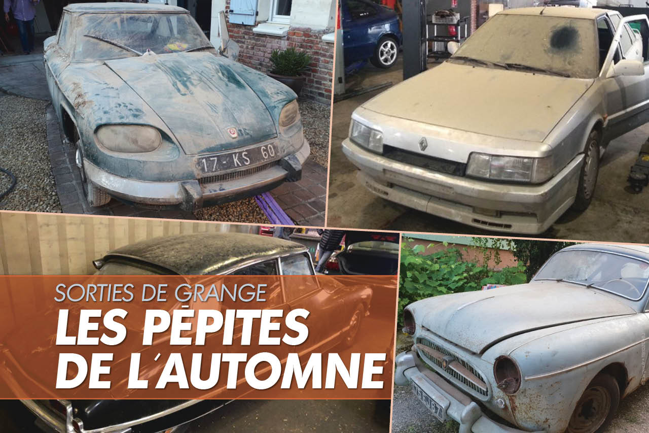 Sorties de grange. Les pépites de l'automne sur Leboncoin