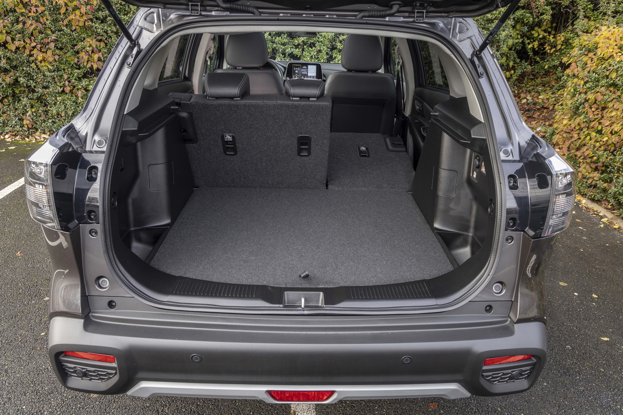 suzuki s cross trunk and modularity