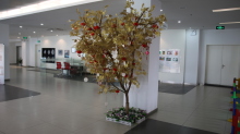 arbre à voeux concession Citroën Shanghai