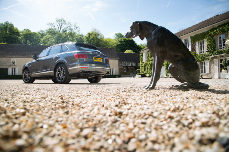 Les puristes peuvent aboyer, la loi du marché est passée : Bentley compte désormais un SUV diesel dans sa gamme.