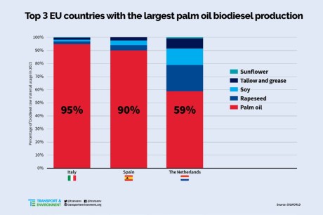 Biodiesel huile de palme