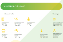 chiffres clé fraude carpass 2020
