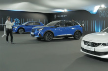 Peugeot direct vidéo teleconseiller