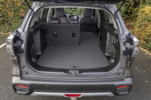 suzuki s cross trunk and modularity