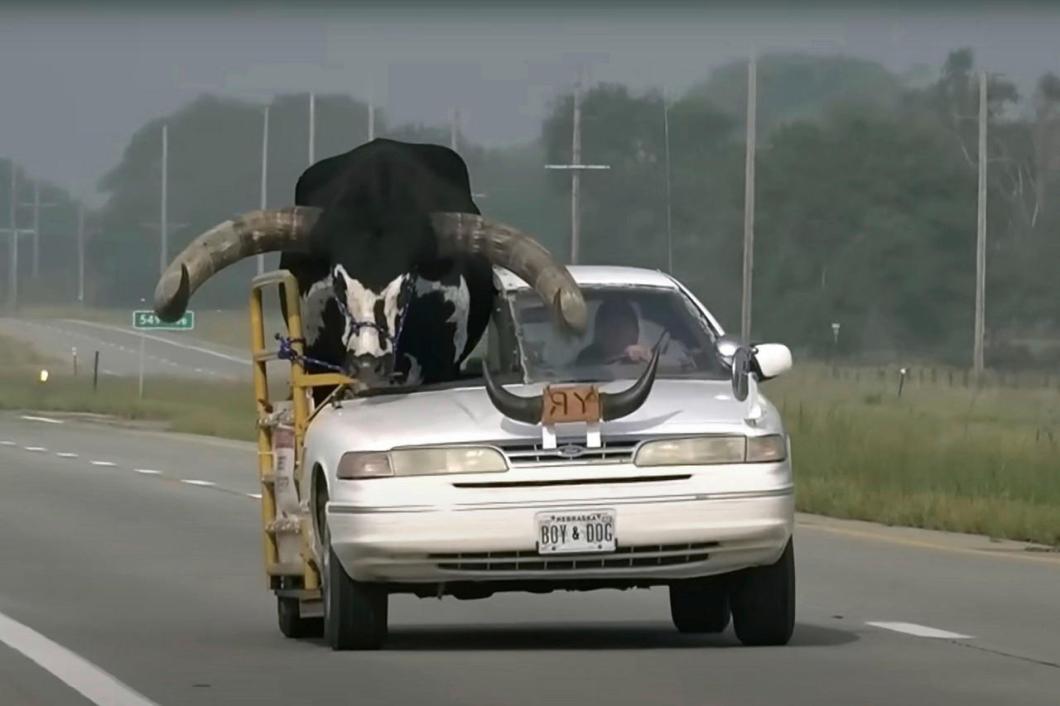 Voiture-taureau-insolite-bd-1_23.jpg?itok=qxjghrHT