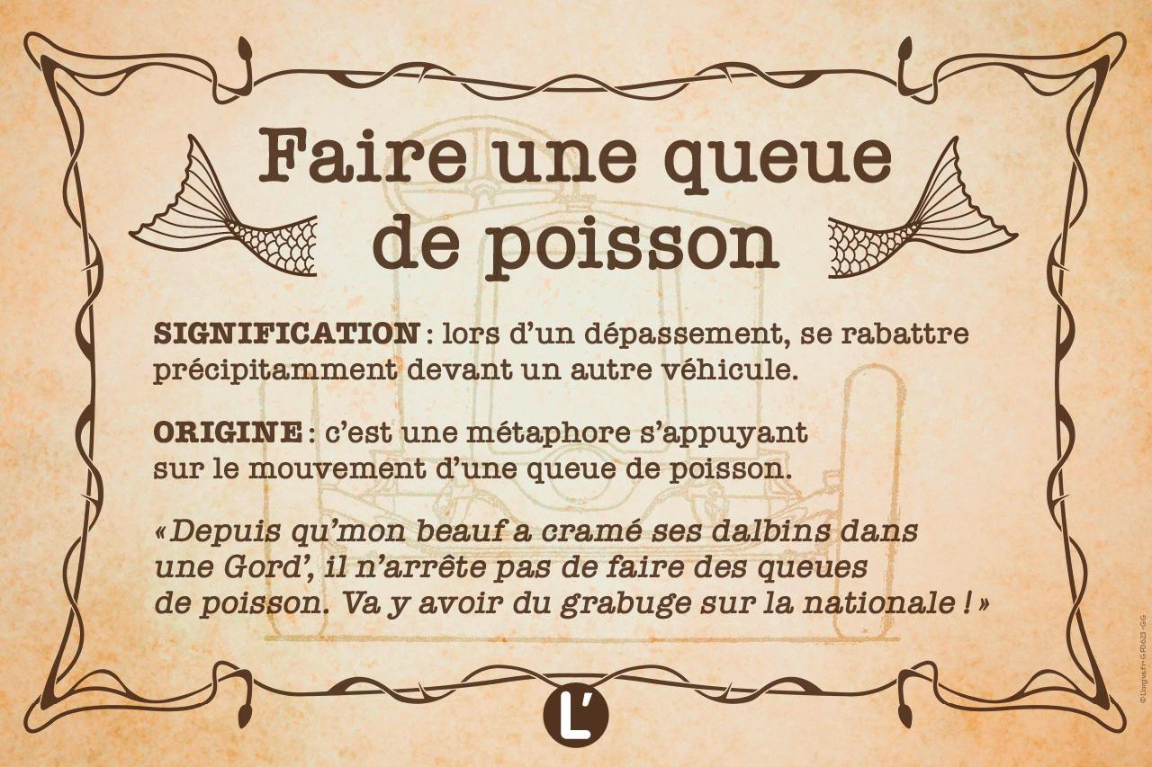 Photo 11 Signification et origine de l